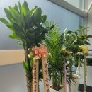 주식회사 대교뉴이프 이미지