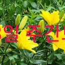 (주)스테이브릿지 이미지