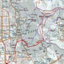 황령산 편백단지 | 황령-033