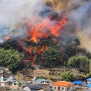 지금이 우리가 대비하던 최악의 재난상황입니다 이미지