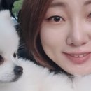 모모댕댕 이미지