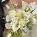 슈즈클리닉 운동화빨래방 | 헤이허니 웨딩촬영 준비(시안·헤어변형·소품·네일·염색·카쿠시토)