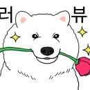 광기획 - 동구 대전로1002번길 27 | 광기획