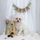 멍앤리치 이미지