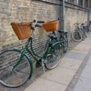 알파행정사 이미지