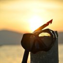 벤지동물병원 이미지