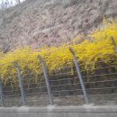 래크 댄스 | [팬미팅] 인천 전자랜드 농구단 팬미팅 후기 [다시한번 놀아보자~ ]