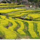 두모가J 이미지