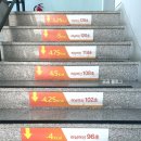 구로-구로-구로-846 | 결혼 D-80 팔뚝관리 2주차 기록, 구로 팔 지방추출주사 후기