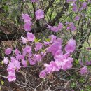 정릉13 | 북한산 진달래 능선 산행 후기 (우이역–칼바위–정릉)