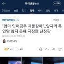 &#34;엄마 인어공주 괴물같아&#34;..앞자리 흑인맘 참지 못해 극장안 난장판 이미지