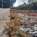 아라메 펜션 이미지