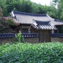 의령 수파정 Daum카페