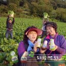 연두광고
