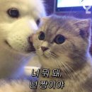 파이널나인 이미지