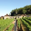 온다도로 이미지