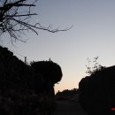 중앙동229 이미지