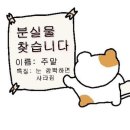 노가드네 이미지