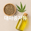 안동용상동물약국 | 대마종자유 효능 복용법 부작용 가격 구매방법