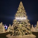 스파트리송정 이미지