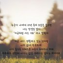 머니라이프밸런스