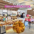 별을 보며 빵을 굽다 | [화순 빵집] 2층 뷰가 좋은 화순 카페 별을보며 빵을 굽다:빵 소개
