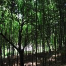 하늘빛계곡 이미지