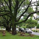 순천공업고등학교 이미지