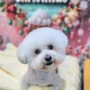 다이아몽 이미지