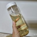 고산녹차민박 | [하오다 우롱차] 최고급 대만 고산차로 차 마시는 습관 들이기