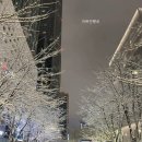 딸기노래광장 이미지