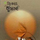 [컬럼] 한 농부의 배려심 이미지