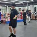 복싱매니아짐 이미지