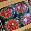 거창청과 이미지