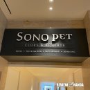 플레이독 남양주점 | 반려견을 위한 전용 리조트! 강원도 홍천 비발디파크 소노펫 클럽앤리조트 방문 후기