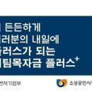 소상공인 버팀목자금 플러스 이미지