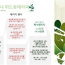 송송테라피