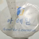 볼볼티 이미지