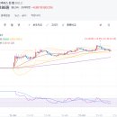 넥서스바이오 이미지