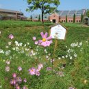 좋은농원 이미지