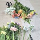 샤론유치원 | [청주 진천 증평 원예치료수업] 중학교 두드림 꽃바구니만들기 정서지원 체험활동_샤론의정원