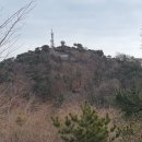 구봉산전망대 이미지