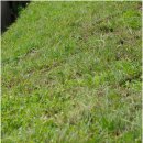 계성장마로 이미지