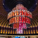 핑크고래 이미지