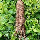 원미상가 이미지