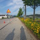 공단로(수상동) 이미지