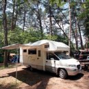 평창수림대펜션 이미지