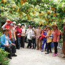 복 농장 이미지