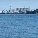 정운갈비 | 41. 죽음 관련 명언