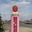 현정농장(1) 이미지